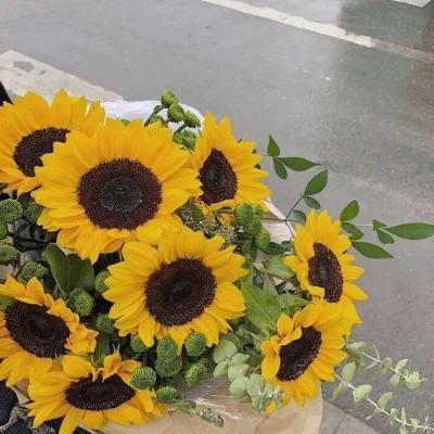 加拿大南宫NG娱乐app下载