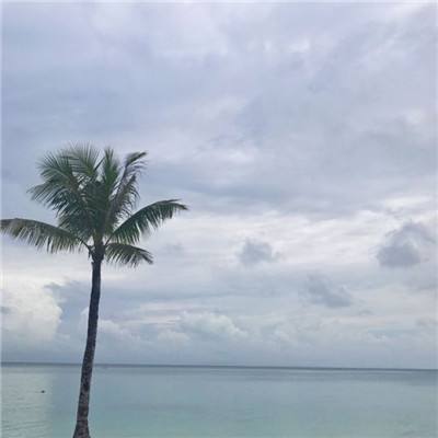 金沙集团1862cc成色产品