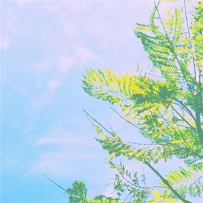 246天天好彩下载手机版