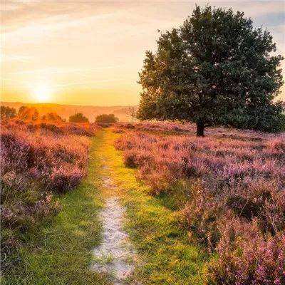 乐鱼官方手机app下载